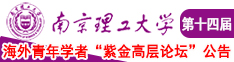 阴茎艹骚逼南京理工大学第十四届海外青年学者紫金论坛诚邀海内外英才！